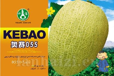 科宝奥赛055——哈密瓜种子