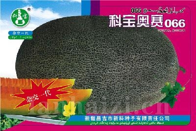 科宝奥赛066——哈密瓜种子