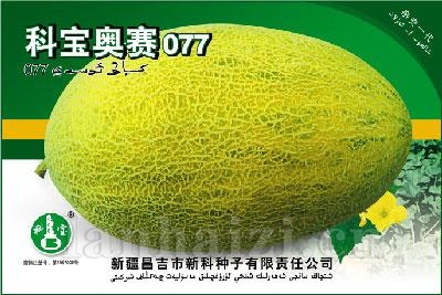 科宝奥赛077——哈密瓜种子