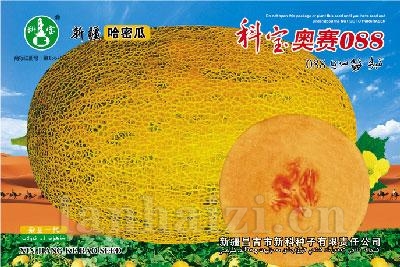 科宝奥赛088——哈密瓜种子