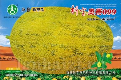 科宝奥赛099——哈密瓜种子