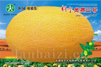 科宝奥赛三号——哈密瓜种子