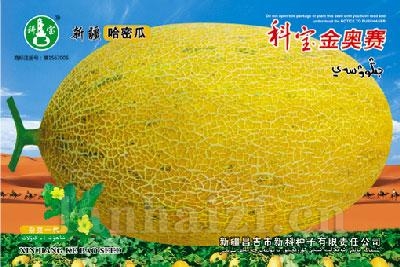科宝金奥赛——哈密瓜种子