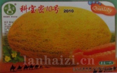 科宝密10号——哈密瓜种子