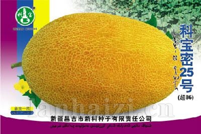 科宝密25号——哈密瓜种子