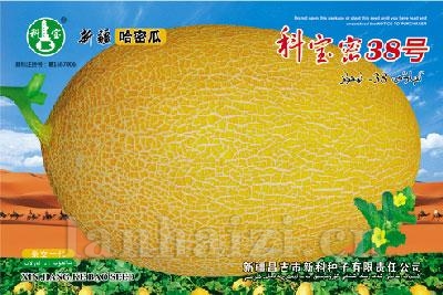 科宝密38号——哈密瓜种子