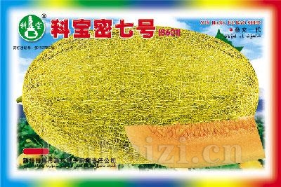科宝密七号 ——哈密瓜种子