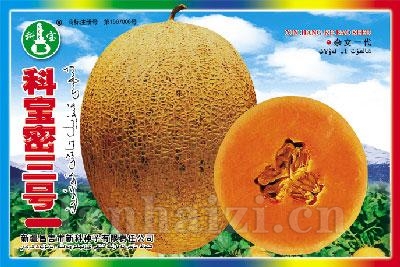 科宝密三号——哈密瓜种子