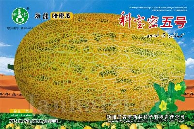 科宝密五号——哈密瓜种子