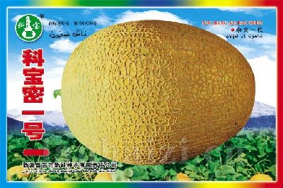 科宝密一号——哈密瓜种子