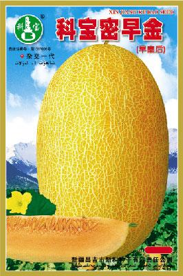 科宝密早金——哈密瓜种子