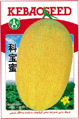科宝蜜——哈密瓜种子