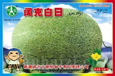 阔克白日——哈密瓜种子