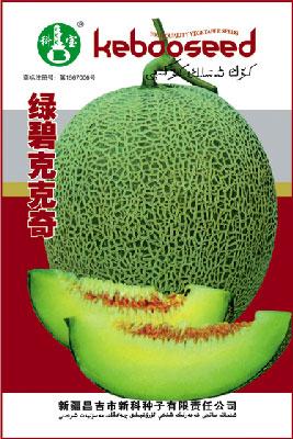 绿碧克克奇——哈密瓜种子