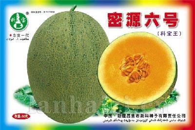 密源六号——哈密瓜种子