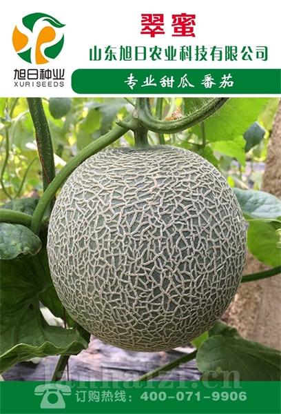 翠蜜