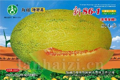 新86-1——哈密瓜种子