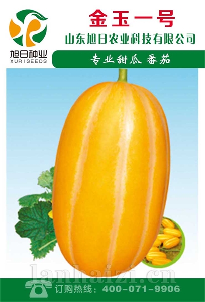 金玉一号