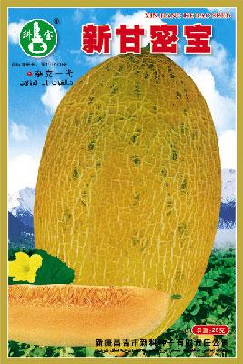 亚洲蜜17号——哈密瓜种子