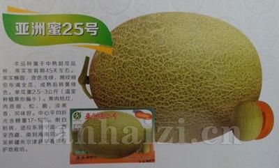 银红玉——哈密瓜种子