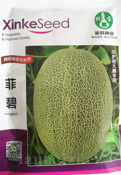 克瑞斯——哈密瓜种子
