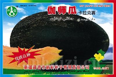 伽师瓜（卡拉克赛）——甜瓜种子