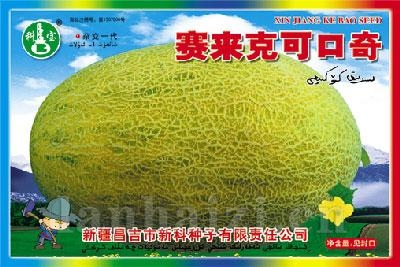 赛来克可口奇——甜瓜种子