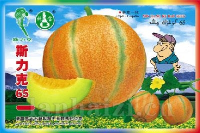 斯力克65——甜瓜种子