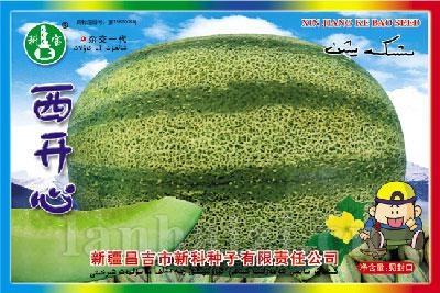西开心——甜瓜种子