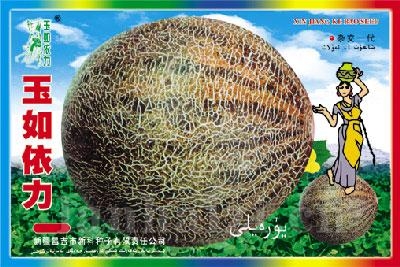玉如依力——甜瓜种子