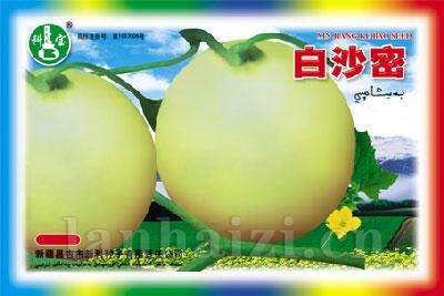 白沙密——精品甜瓜种子
