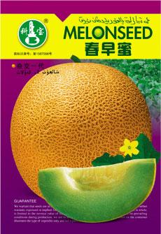 春早密 ——精品甜瓜种子