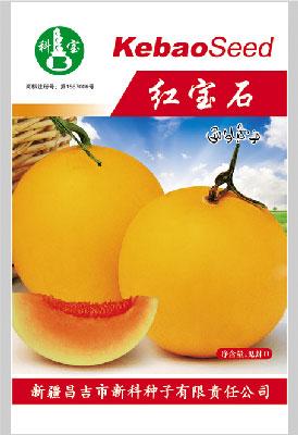 红宝石——精品甜瓜种子