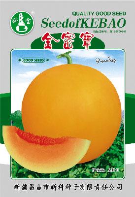 金密宝——精品甜瓜种子