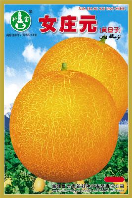 女庄元——精品甜瓜种子