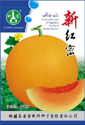 新红密——精品甜瓜种子