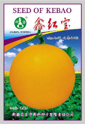鑫红宝——精品甜瓜种子