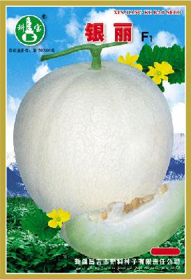 银丽F1——精品甜瓜种子