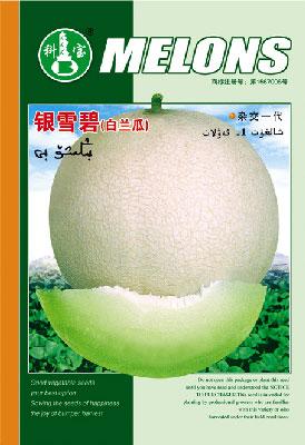 银雪碧——精品甜瓜种子