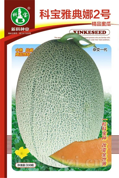 科宝雅典娜2号——精品甜瓜种子