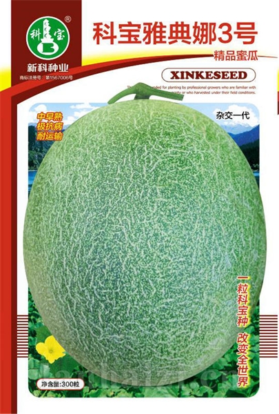 科宝雅典娜3号——精品甜瓜种子