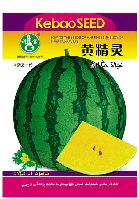 黄精灵 ——西瓜种子