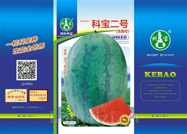 科宝二号——西瓜种子