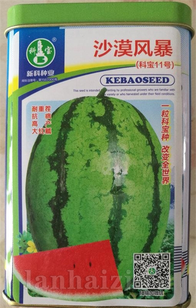 沙漠风暴(科宝11号)——西瓜种子