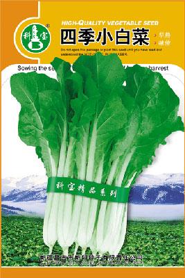 四季小白菜——叶菜种子