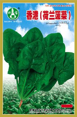 香港（荷兰菠菜）——叶菜种子