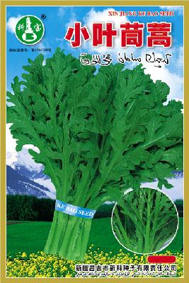 小叶茼蒿——叶菜种子