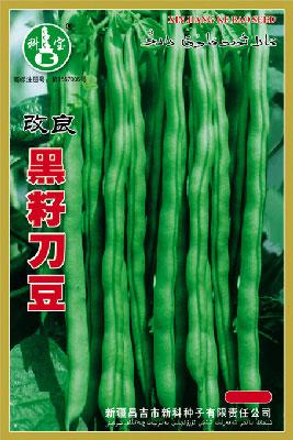 黑籽刀豆——豇豆种子
