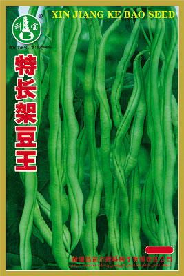 特长架豆王——豇豆种子
