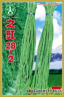 之豇28-2 ——豇豆种子